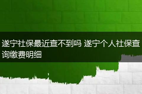 遂宁社保最近查不到吗 遂宁个人社保查询缴费明细