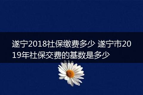 遂宁2018社保缴费多少 遂宁市2019年社保交费的基数是多少