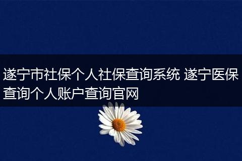 遂宁市社保个人社保查询系统 遂宁医保查询个人账户查询官网
