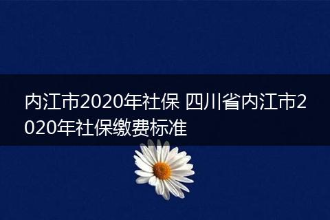 内江市2020年社保 四川省内江市2020年社保缴费标准
