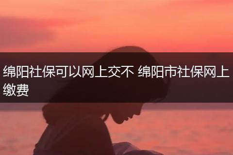 绵阳社保可以网上交不 绵阳市社保网上缴费