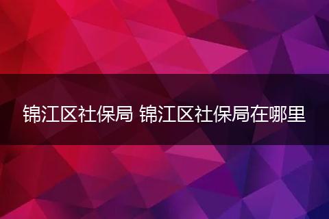 锦江区社保局 锦江区社保局在哪里
