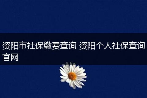 资阳市社保缴费查询 资阳个人社保查询官网