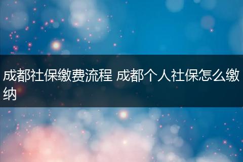 成都社保缴费流程 成都个人社保怎么缴纳