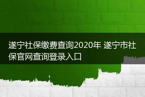 遂宁社保缴费查询2020年 遂宁市社保官网查询登录入口