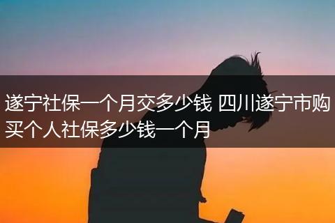 遂宁社保一个月交多少钱 四川遂宁市购买个人社保多少钱一个月