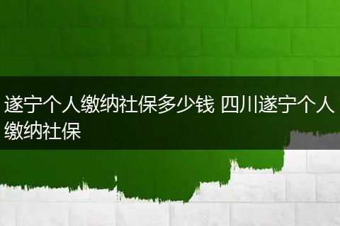 遂宁个人缴纳社保多少钱 四川遂宁个人缴纳社保