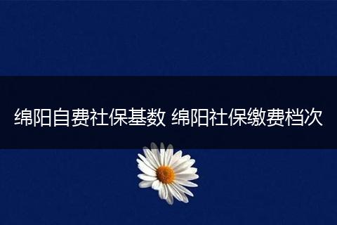 绵阳自费社保基数 绵阳社保缴费档次