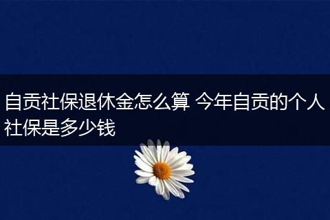 自贡社保退休金怎么算 今年自贡的个人社保是多少钱