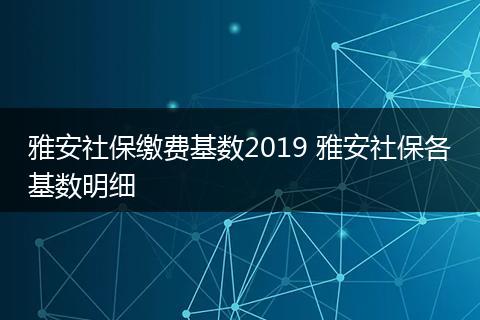 雅安社保缴费基数2019 雅安社保各基数明细