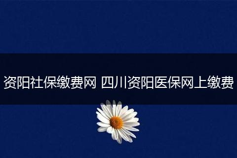 资阳社保缴费网 四川资阳医保网上缴费