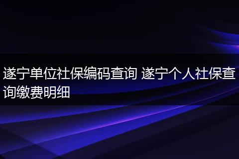 遂宁单位社保编码查询 遂宁个人社保查询缴费明细