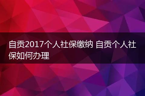 自贡2017个人社保缴纳 自贡个人社保如何办理