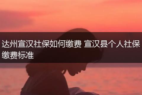 达州宣汉社保如何缴费 宣汉县个人社保缴费标准
