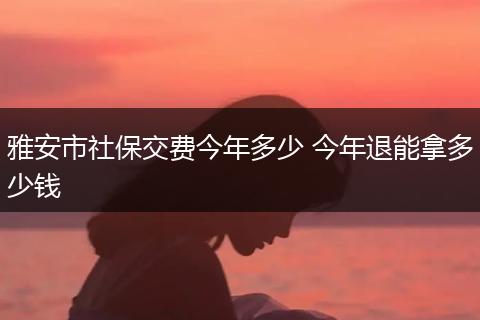 雅安市社保交费今年多少 今年退能拿多少钱