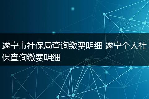 遂宁市社保局查询缴费明细 遂宁个人社保查询缴费明细