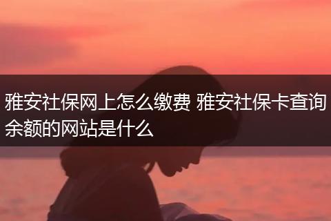 雅安社保网上怎么缴费 雅安社保卡查询余额的网站是什么