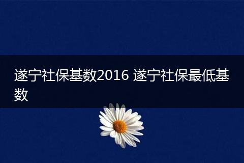 遂宁社保基数2016 遂宁社保最低基数