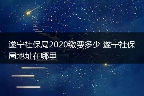 遂宁社保局2020缴费多少 遂宁社保局地址在哪里