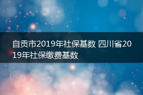 自贡市2019年社保基数 四川省2019年社保缴费基数