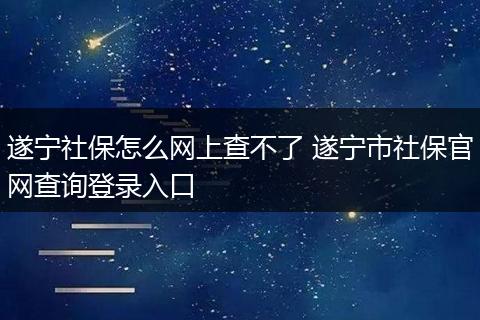 遂宁社保怎么网上查不了 遂宁市社保官网查询登录入口