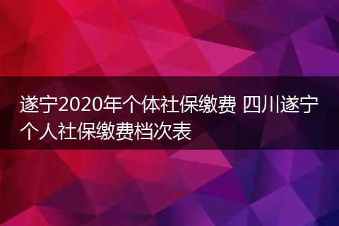 遂宁2020年个体社保缴费 四川遂宁个人社保缴费档次表
