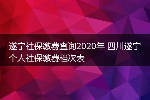 遂宁社保缴费查询2020年 四川遂宁个人社保缴费档次表