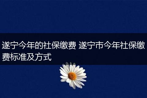遂宁今年的社保缴费 遂宁市今年社保缴费标准及方式