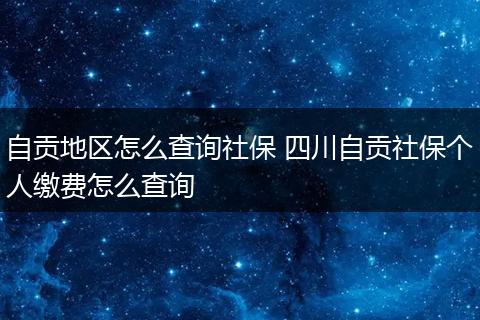 自贡地区怎么查询社保 四川自贡社保个人缴费怎么查询