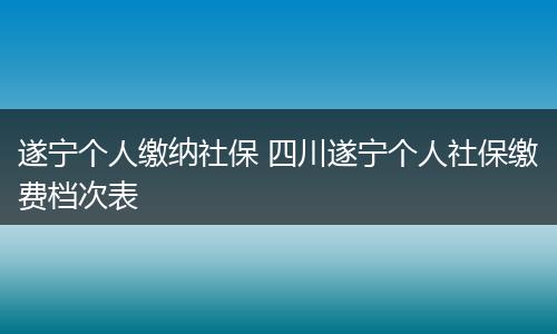遂宁个人缴纳社保 四川遂宁个人社保缴费档次表