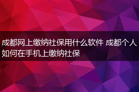 成都网上缴纳社保用什么软件 成都个人如何在手机上缴纳社保