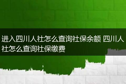 进入四川人社怎么查询社保余额 四川人社怎么查询社保缴费