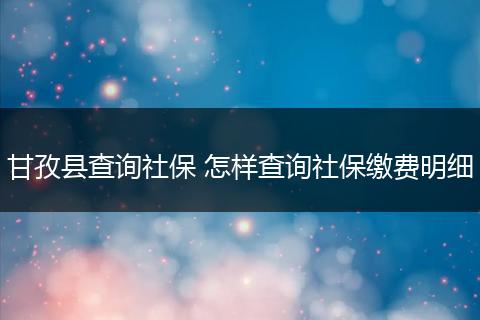甘孜县查询社保 怎样查询社保缴费明细