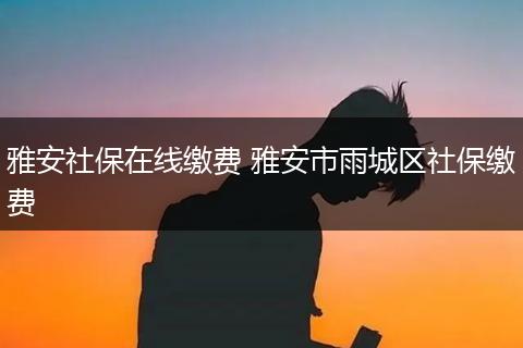 雅安社保在线缴费 雅安市雨城区社保缴费