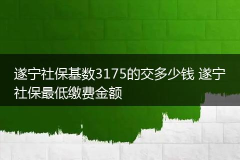 遂宁社保基数3175的交多少钱 遂宁社保最低缴费金额