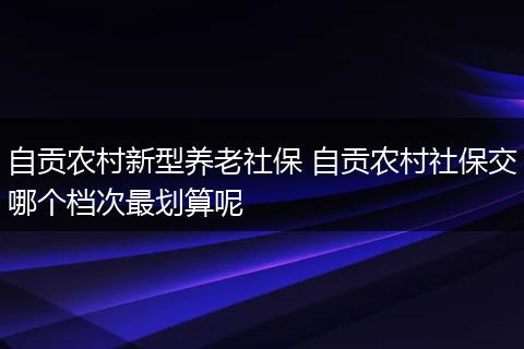自贡农村新型养老社保 自贡农村社保交哪个档次最划算呢