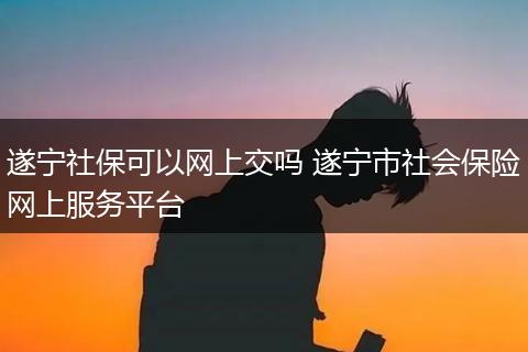 遂宁社保可以网上交吗 遂宁市社会保险网上服务平台