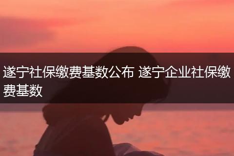 遂宁社保缴费基数公布 遂宁企业社保缴费基数