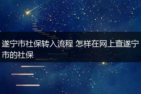 遂宁市社保转入流程 怎样在网上查遂宁市的社保