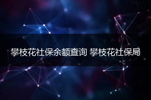 攀枝花社保余额查询 攀枝花社保局
