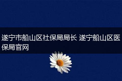 遂宁市船山区社保局局长 遂宁船山区医保局官网