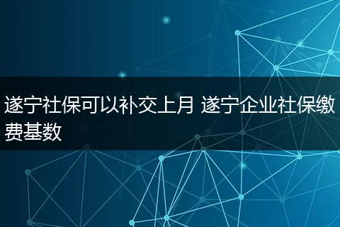 遂宁社保可以补交上月 遂宁企业社保缴费基数