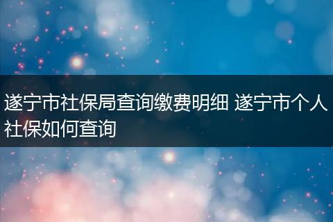 遂宁市社保局查询缴费明细 遂宁市个人社保如何查询