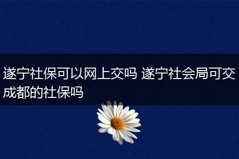 遂宁社保可以网上交吗 遂宁社会局可交成都的社保吗