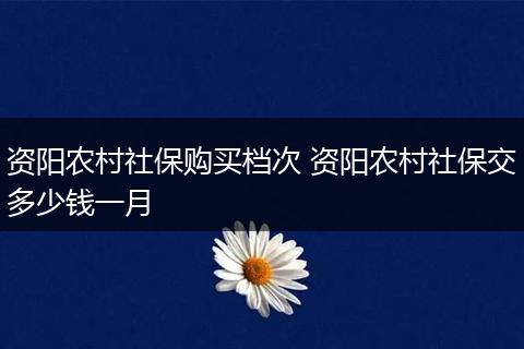 资阳农村社保购买档次 资阳农村社保交多少钱一月