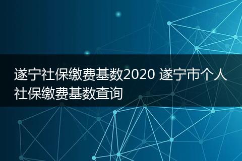 遂宁社保缴费基数2020 遂宁市个人社保缴费基数查询