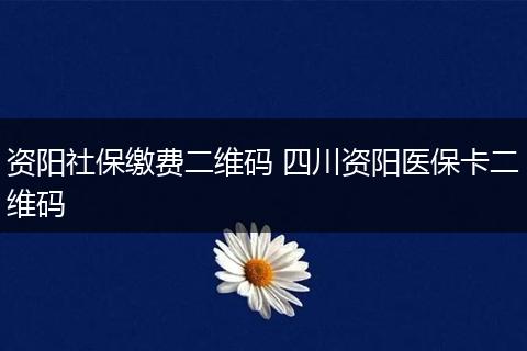 资阳社保缴费二维码 四川资阳医保卡二维码