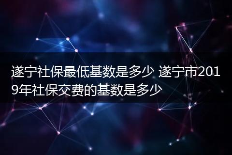 遂宁社保最低基数是多少 遂宁市2019年社保交费的基数是多少