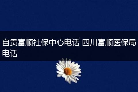 自贡富顺社保中心电话 四川富顺医保局电话