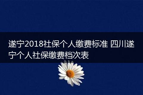 遂宁2018社保个人缴费标准 四川遂宁个人社保缴费档次表